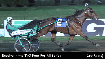 More TVG And Fall Four Eliminations
