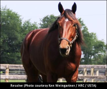 Cleveland Trotting Classic Drawn Cleveland Trotting Classic Drawn