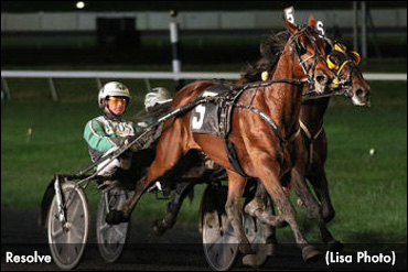 Campbell, Resolve At Solvalla