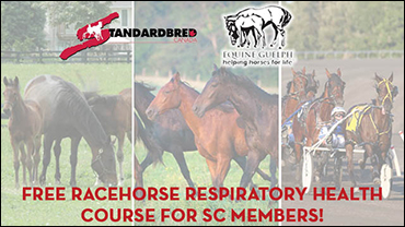 Spots Remain In Racehorse Respiratory Course
