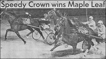SC Rewind: 1972 Maple Leaf Trot