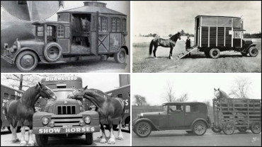 SC Rewind: Transporting Horses (Pt. 1)