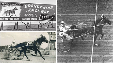 SC Rewind: Years Ago - 1950s