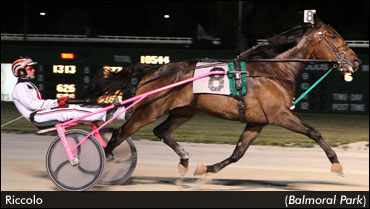 Riccolo Notches Fifth Straight Win