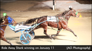 Ride Away Shark Delivers In Preferred