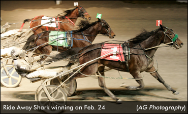 Ride Away Shark Tops London Mares