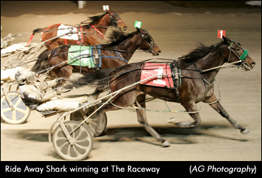 Ride Away Shark Wins Preferred