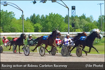 Pink Power At Rideau Carleton