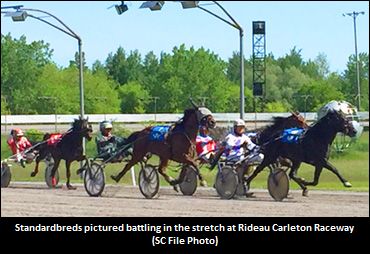 P L Notsonice Annihilates Canadian Record