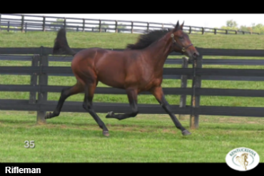 Rifleman Tops Day 1 In Lexington