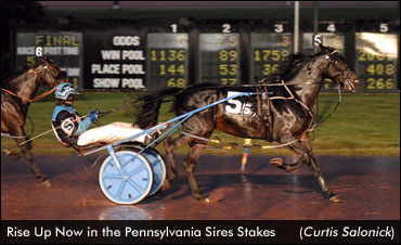 Brown Colts Perfect; 'Martine' Wins Again