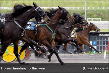 Stakes Scheduling Meeting Report