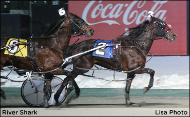 River Shark Sails To Aquarius Win; Six More For Brennan