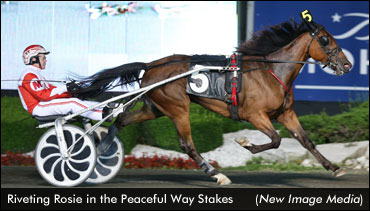 Riveting Rosie Ties Track Record