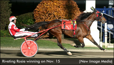 Riveting Rosie Sets Woodbine Record