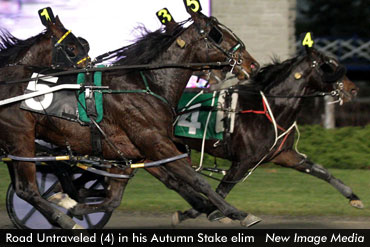 Another Autumn Upset Winner For Saftic