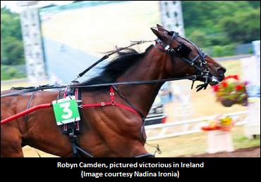 Irish Mare Taking To North America