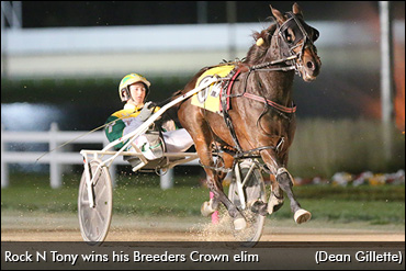 Upset Brings Breeders Crown Return