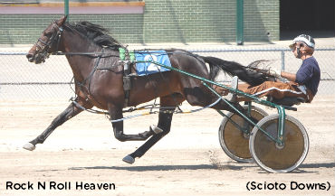 Rocknroll Hanover Colt Qualifies At Scioto