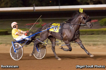 Rockincam Still Undefeated