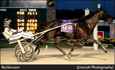 Rockincam Rolls Over Rivals In Dan Patch