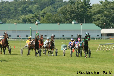 Trotters On The Turf At Rockingham