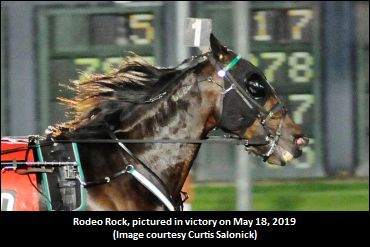 McCarthy's Loving 'The Rodeo’