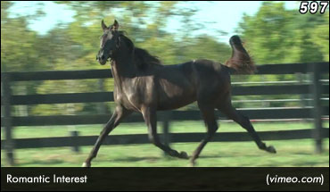 2016 Lexington Sale Wraps Up