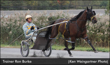 Burke Sets Earnings Record    