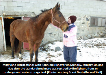 Ronniejo On The Mend