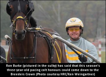 Glamour Boy Honours 'Up For Grabs'