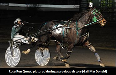 Tense Moments For ‘Rose Run’ Backers