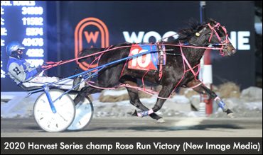 An Opportunity For Ont. Sired Youngsters