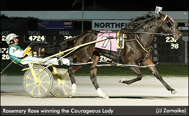 Courageous Lady To Rosemary Rose