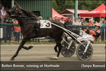 Cape Breton Horsemen Seek ABC Glory