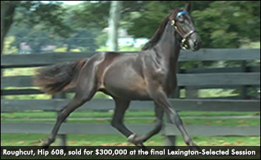 Ohio-Bred Tops Final Session Of Lexington Selected