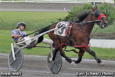 Track Record For Royal Heart