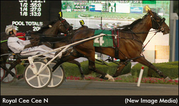 Mean Mare Means Business