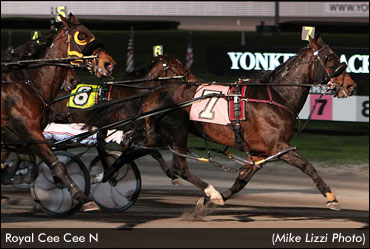 Close Call In Yonkers Mares Open