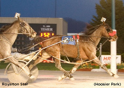 Royalton Star Shines Bright In Hoosier Top Pace