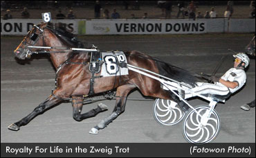 Royalty For Life Wins Zweig Trot