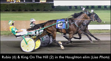 Takter Trotters Dominate Eliminations