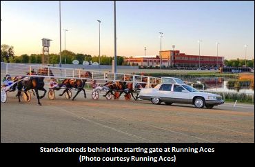 Running Aces 2018 Stall Apps Available
