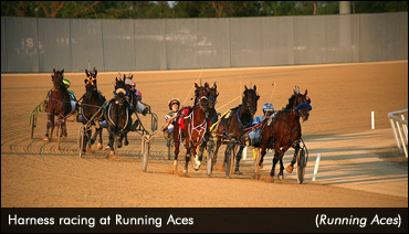 Tell All Longshot Wins At 115-1 Tell All Longshot Wins At 115-1