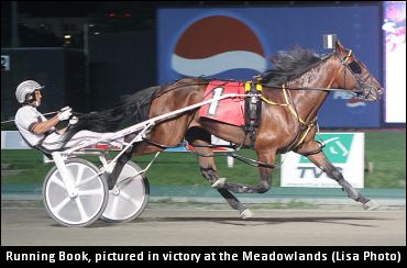 Running Book To Stand In Ohio