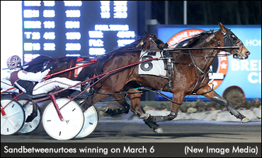 Sandbetweenurtoes Doubles Up