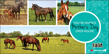Mother's Day Open Houses Set