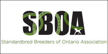 SBOA Stallion Auction Extended