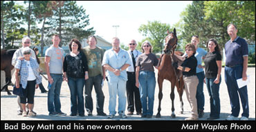 New Owners Pin Hopes On 'Badlands' Colt 
