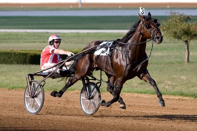 Somebeachsomewhere Equals World Record